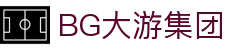 BG大游(集团)唯一官方网站